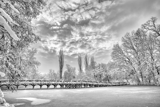 Winter landscape in Bucharest  park , Romania 