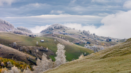 Romanian landscape in the Carpathian mountains with frost over autumn leafs