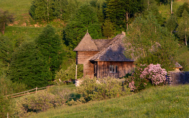 Fototapeta premium Old wood traditional house in country side of Transylvania , Romania 