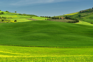 Tuscany fields in spring time , landscape from Tuscany , Italy 