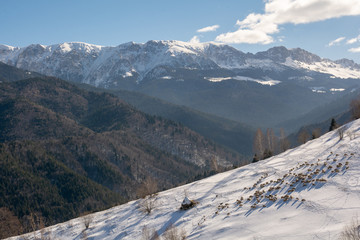 Winter  landscape in Transylvania , Romania and Carpathian mountains 