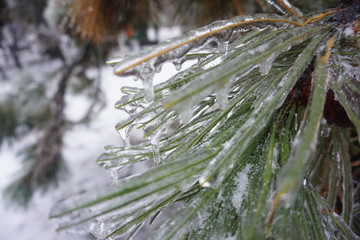 Freezing rain in Bucharest, ice rain