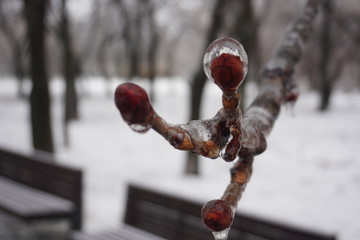 Freezing rain in Bucharest, ice rain