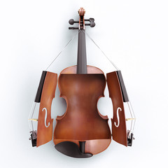 Open violin © FrankBoston