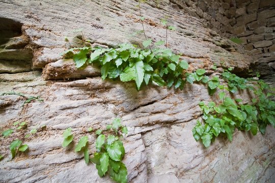detail of the wall in Pagan cave temple, Busha, Ukraine