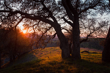 Hill sunset
