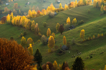 Transylvania landscape in autumn time, Romania the Carpathian garden 