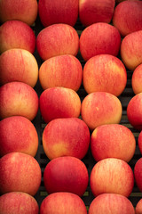Fresh red apple from farm in Romania 