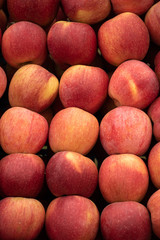 Red fresh  apple in the box at the traditional Eco  farm