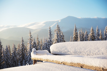 A sunny winter day in the Ukrainian Carpathian mountains with a lot of snow on the trees and slopes.