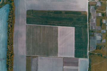 Aerial view of a field cut into different parts. Natural ornament