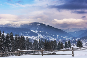A sunny winter day in the Ukrainian Carpathian mountains with a lot of snow on the trees and slopes.