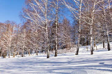Majestic sunset in the winter mountains landscape. Dramatic sky.