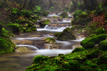 Cheile Nerei river in the forest  , Romania 