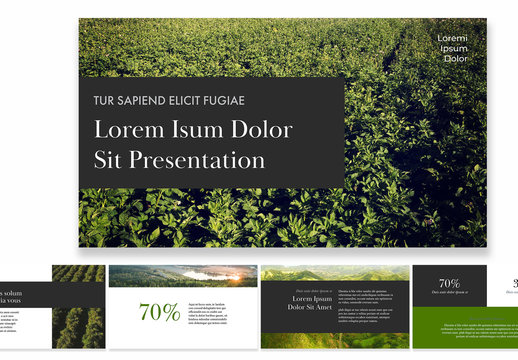 Presentation Layout with Green Accents