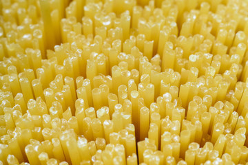 spaghetti close up