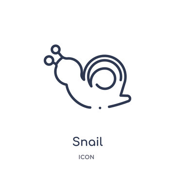 snail icon from nature outline collection. Thin line snail icon isolated on white background.