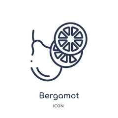 bergamot icon from nature outline collection. Thin line bergamot icon isolated on white background.