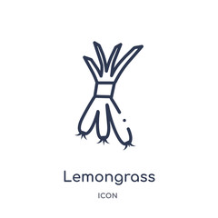 lemongrass icon from nature outline collection. Thin line lemongrass icon isolated on white background.