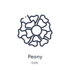 peony icon from nature outline collection. Thin line peony icon isolated on white background. © Meth Mehr