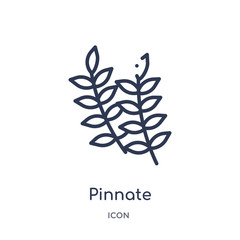 pinnate icon from nature outline collection. Thin line pinnate icon isolated on white background.