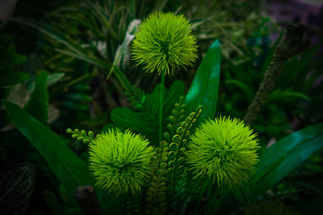 Green artificial Flower and fake leaf with blur background.