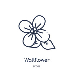 wallflower icon from nature outline collection. Thin line wallflower icon isolated on white background.