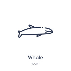 Fototapeta na wymiar whale icon from nautical outline collection. Thin line whale icon isolated on white background.