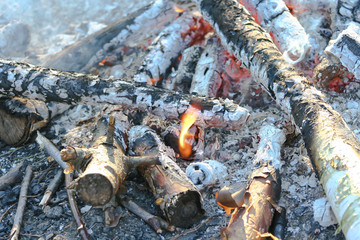 warm fireplace with lots of trees ready for barbecue