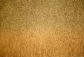 3d rendering of fur surface