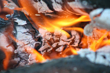 warm fireplace with lots of trees ready for barbecue