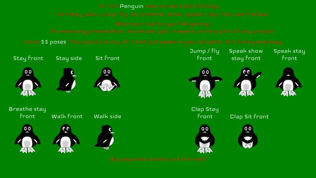 Penguin character poses moving, jumping, flying, speaking. Animation cartoon style