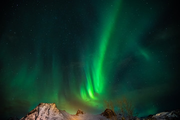 Fototapeta na wymiar northern Lights, aurora borealis, Lofoten Islands, Norway