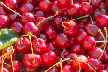 Background of red ripe sweet cherry, close-up