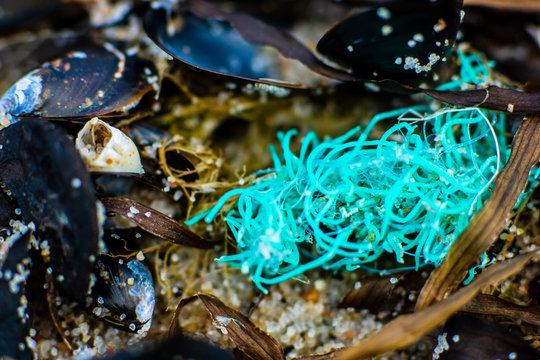 Makroaufnahme von Strandgut Plastiknetz Umweltverschmutzung am Strand von Schwarbe auf R&uuml;gen	