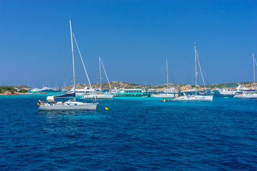 Obraz premium Yachts and boats anchored at beautiful beach of archipelago la Maddalena. Sardinia, Italy