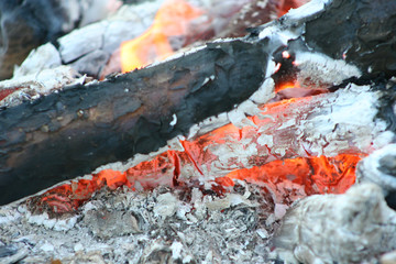 fire in nature . Bonfire in the forest