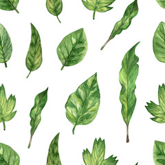 Seamless pattern with green fresh leaf. Watercolor hand drawn illustration