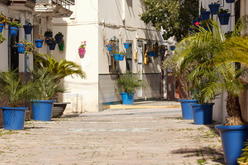 Fototapeta na wymiar Blue Flowerpots with Flowers in Estepona Andalusia Spain