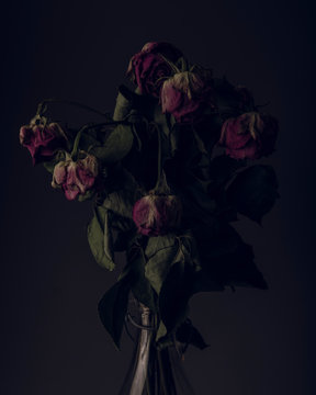 Dry roses in milk bottle agains dark background