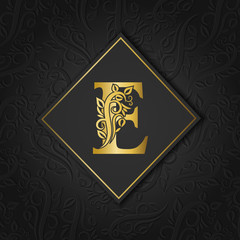 Golden letter E with elegant floral contour isolated on colorful separate background. Premium letter E or background great for logo, monogram, invitation, flyer, menu, brochure, card, cover, fashion