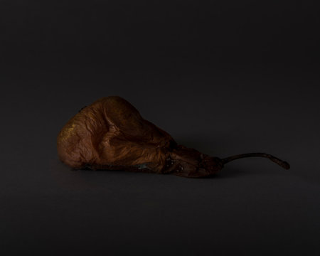 Decomposing pear