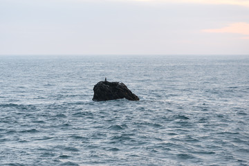 Fototapeta premium Küste in der Bretagne in Frankreich