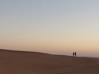 Fototapeta na wymiar Desert of Dubai