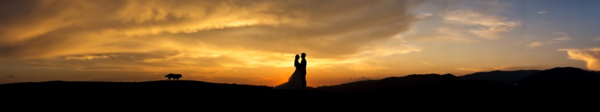 Silhouette of young married couple at sunset.Valentine's day concept.