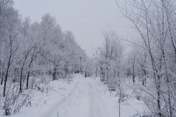 Snowy winter road in the forest with trees covered by hoarfrost.