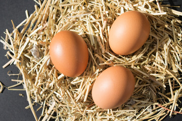 three fresh raw eggs with freckles on the hay on black background