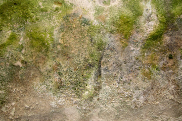 natural texture on soil and rock