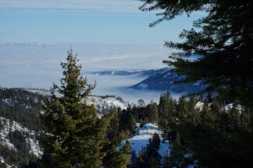 Landscapes of the Pacific Northwest