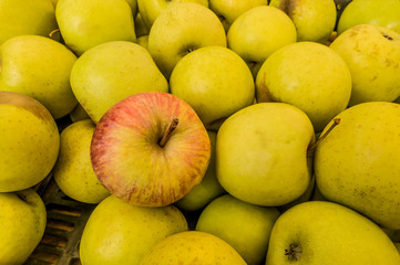 fresh juicy golden variety apples at the market background texture